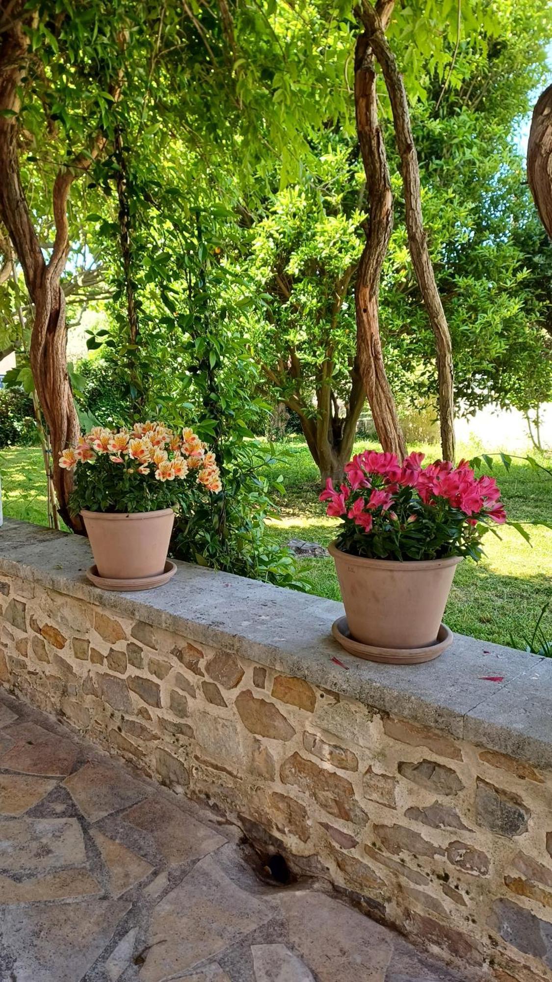 Villa Kapetanakis Redessan Extérieur photo